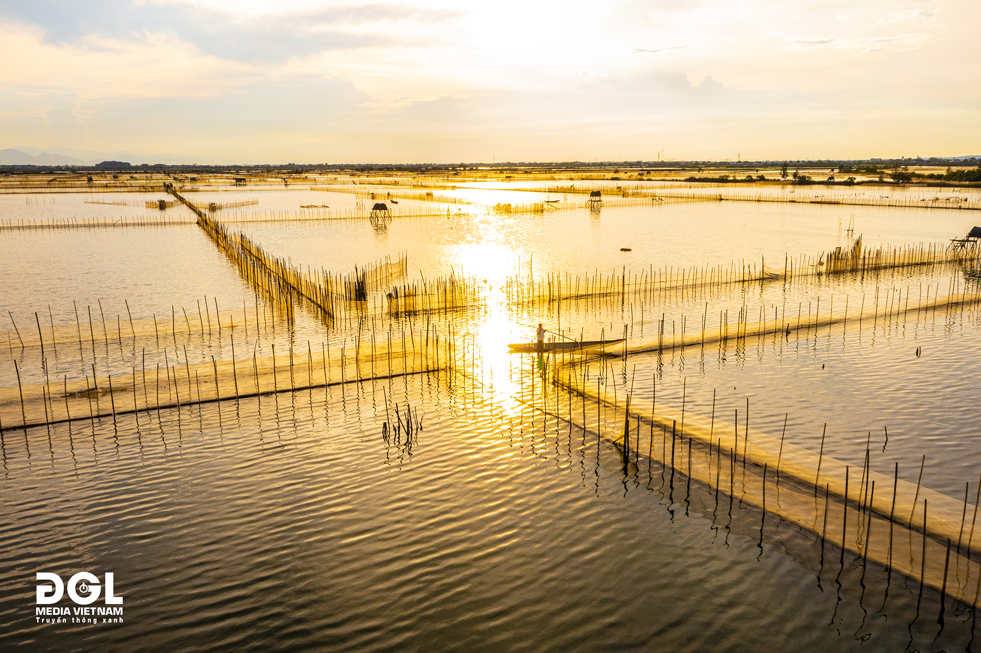 Đầm chuồn huế (6)